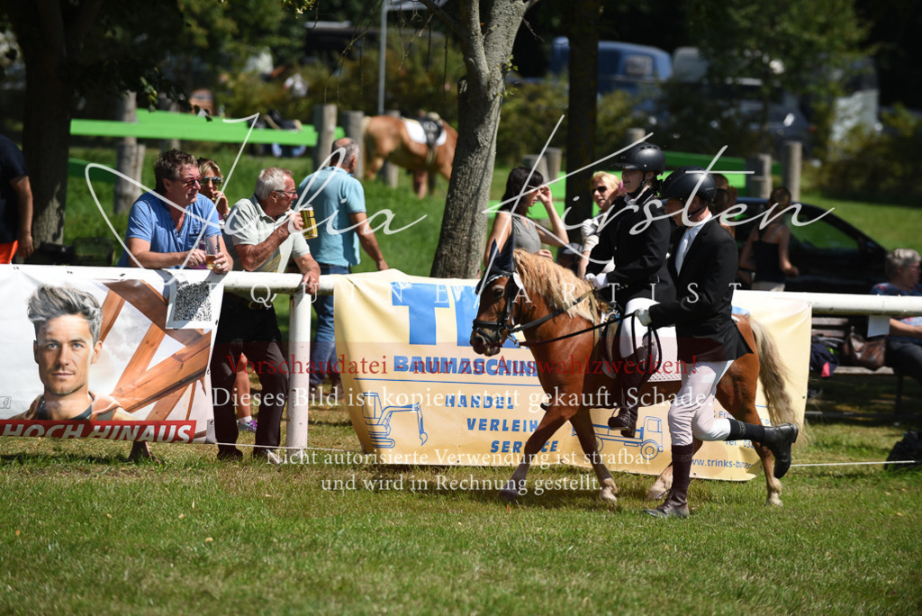 DSC_9699 | Pferde- und Turnierfotografie in Westsachsen. Pferdeportraits, Auftragszeichnungen und intuitive Kunst.