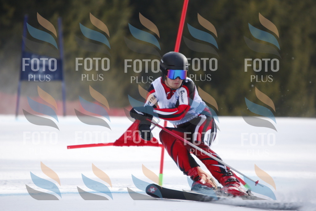 D8104 | holidayphoto