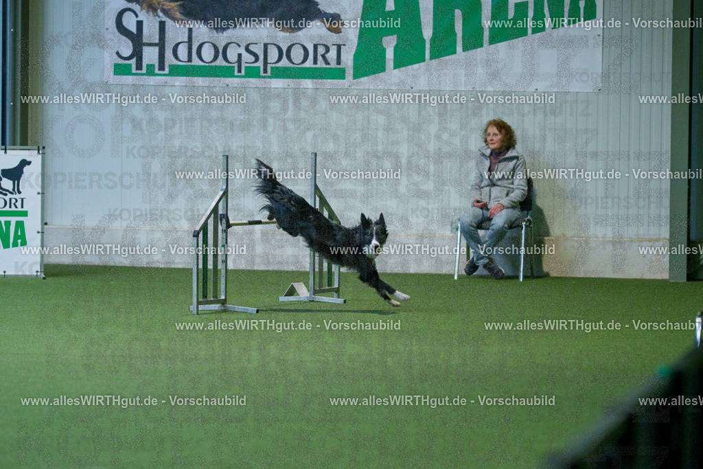 @allesWIRTHgut_Tierfotografie - www.allesWIRTHgut.de - 2604260810-7R506778 | Professionelle Tierfotografie in Mönchengladbach von Daniel Wirth (allesWIRTHgut). Liebevolle & natürliche Bilder von Hunden & Katzen für unvergessliche Erinnerungen.