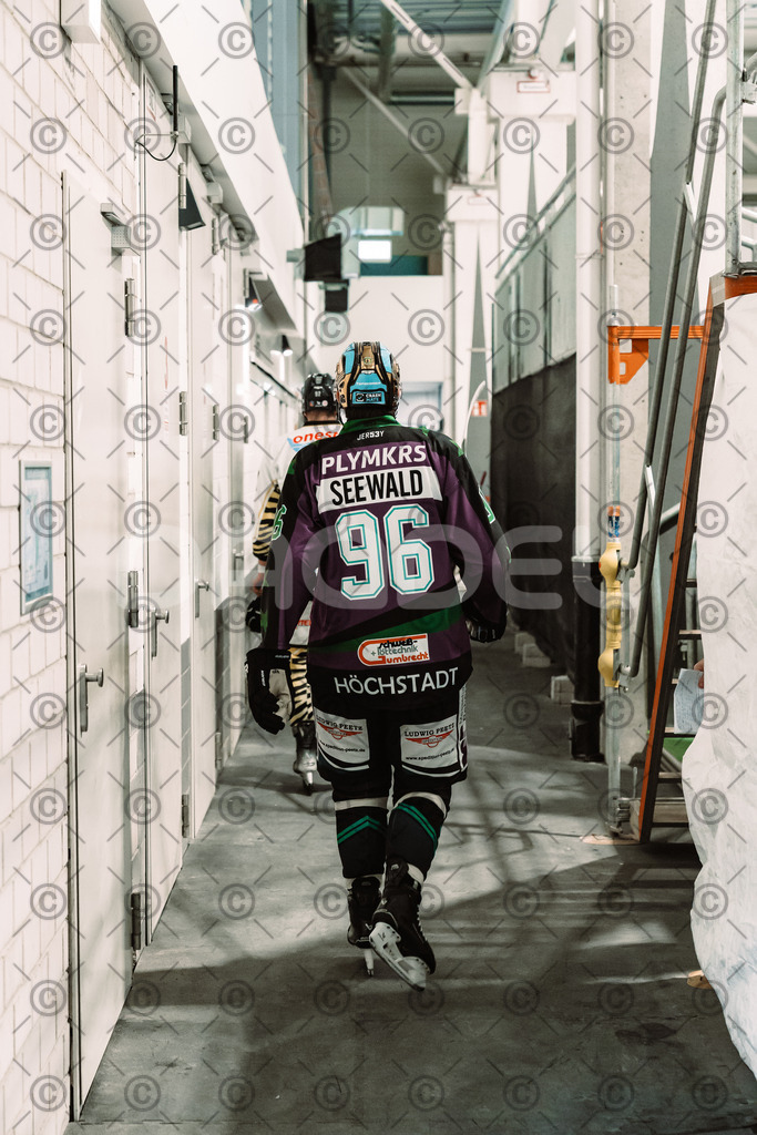 Alligators_vs_Bayreuth_10_2025-31 | Höchstadt Alligators Fotogalerie: Eishockey-Action aus Franken. Professionelle Spielfotos, Portraits & Stadionbilder zum Download. Jetzt entdecken! - Realized with Pictrs.com