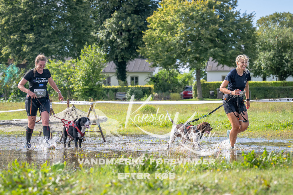 1131_ZZ92864 | kk-dogfotos