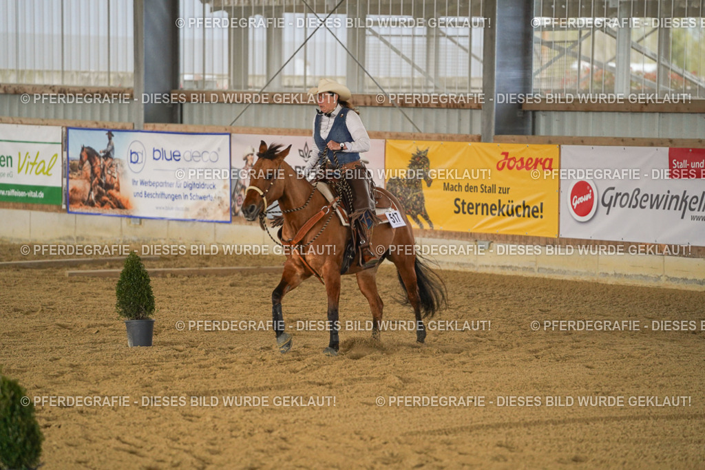 DSC05116 | Pferdegrafie