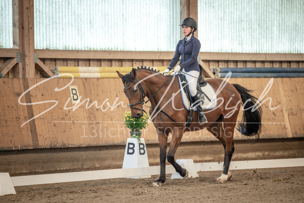 20251011-_3LI7502 | Tierfotografie Pferde, Hunde, Katzen, Haustiere.
Turnierfotografie Reitturniere, Reiten, Springreiten, Dressur in Hanau, dem Main-Kinzig-Kreis und dem Rhein-Main- Gebiet um Frankfurt