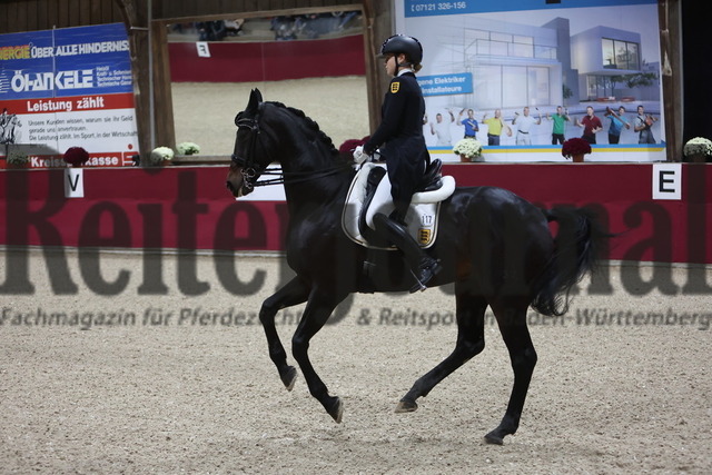 Reutlingen_2024_Prfg.Nr.04_Intermediaire I_Kür_Louisa Reisch_Bandol 3 (4) | Alle Fotos der Reiterjournal Fotografin Doris Matthaes im Reiterjournal Online-Fotoshop. - Realisiert mit Pictrs.com