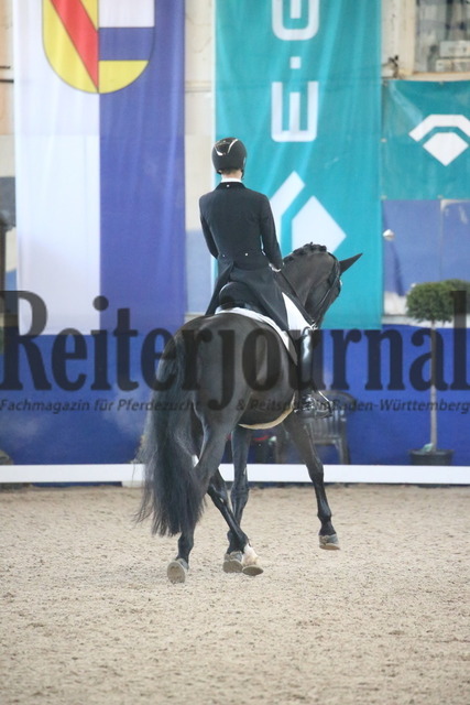 Pforzheim_2022_Dressurprüfung_Kl.S_Moritz Treffinger_Treffinger_s Superstition OLD (7) | Alle Fotos der Reiterjournal Fotografin Doris Matthaes im Reiterjournal Online-Fotoshop. - Realisiert mit Pictrs.com