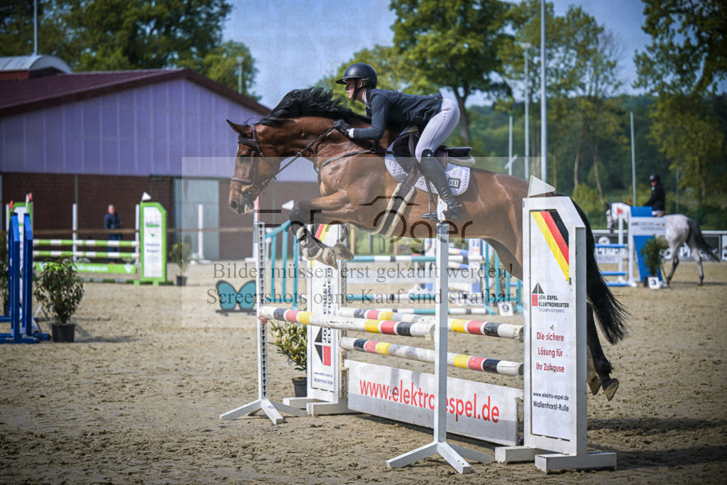 DOS_7172 | Entdecke hochwertige Reitturnierfotos von Foto Oger. Professionell, emotional und authentisch – jetzt Lieblingsmomente im Shop bestellen.Deutschlandweite Turnierfotografie. - Realisiert mit Pictrs.com