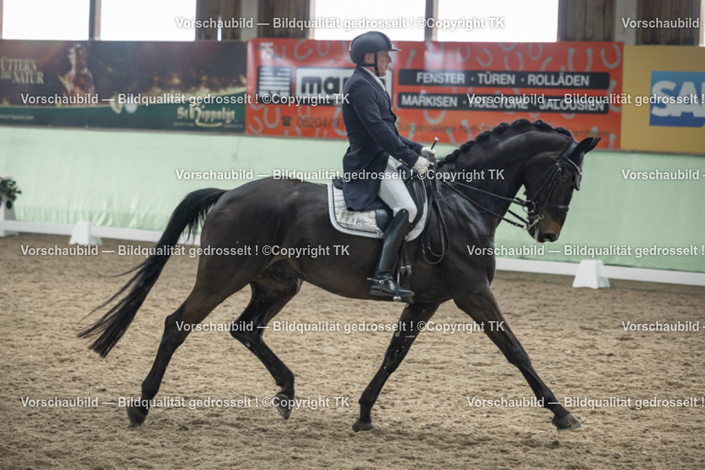 _D5A6014 | Emotionale Pferde- & People-Fotografie rund um Heidelberg, Leimen & Umgebung. Natürliche Fotos von Pferd, Mensch & Familie. Jetzt Termin sichern!