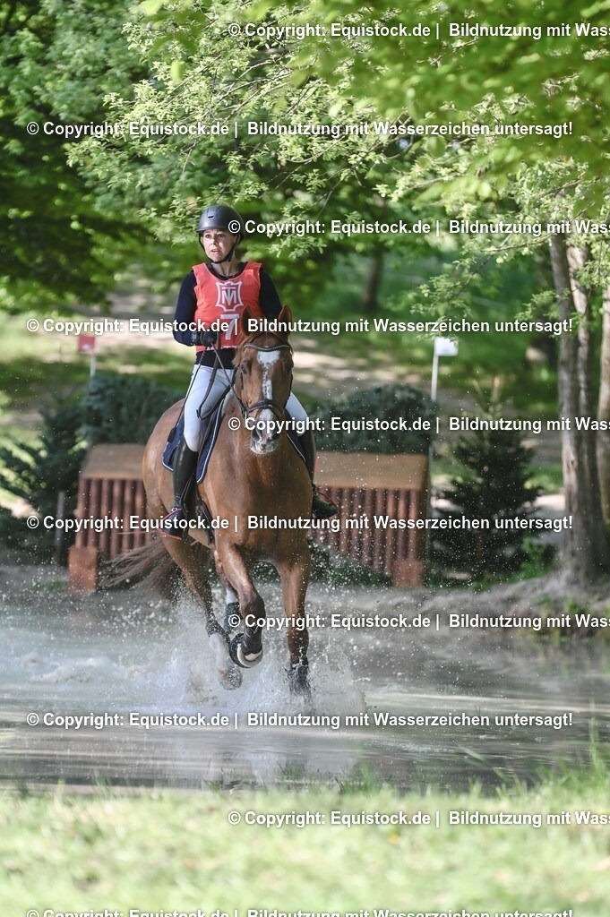 20250517_CCI2_Gelände_0325 | Foto: Thomas Hartig