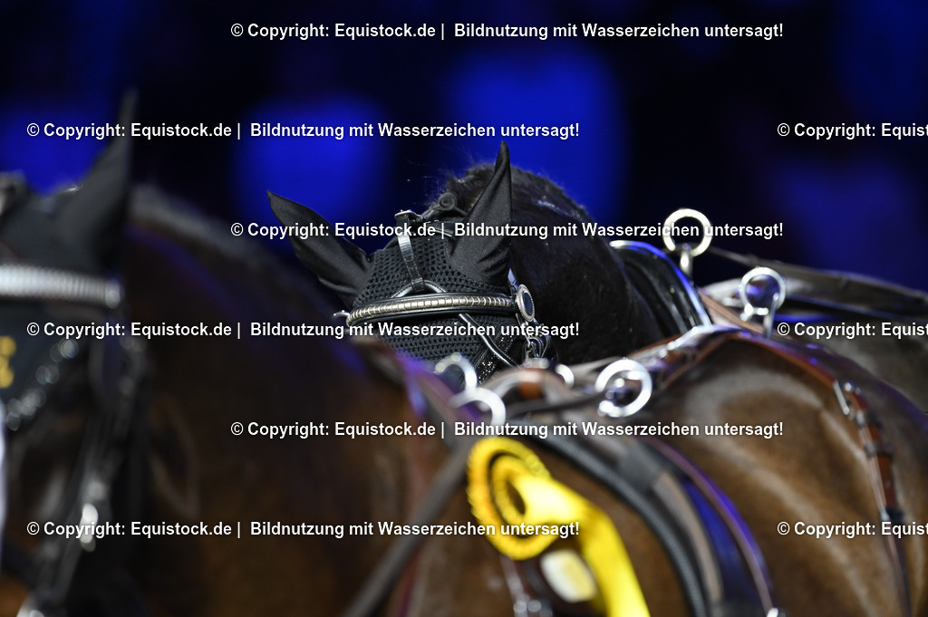 20241115_Fahren-iWest_TOMsPiC_0511 | Foto: Thomas Hartig