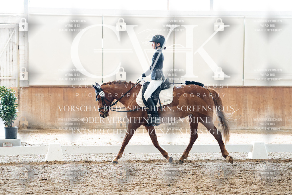CK900154 | Turnierfotografie Pferdefotografie Trier Rheinland-Pfalz Pferdesport Reitsport Tierfotografie Sportfotografie Pferdevideo Pferdevideografie Equestrianvideography equestrianphotography  - Realized with Pictrs.com