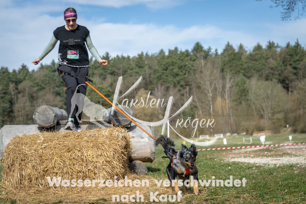 0951_ZZ96833 | kk-dogfotos