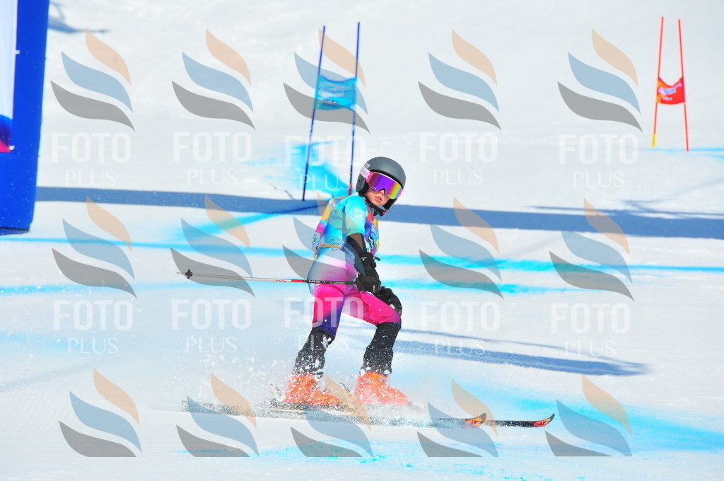 DSC_1001 | holidayphoto