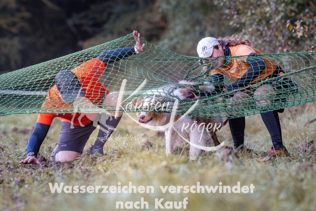 0849_ZZ91115 | kk-dogfotos