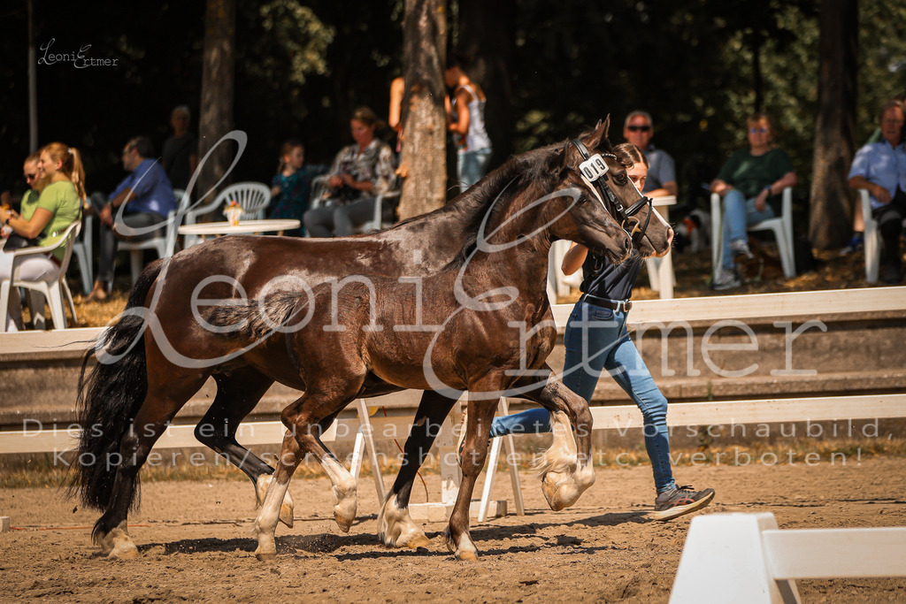 04.DoWP00087 | Leoni Ertmer Photography - Realisiert mit Pictrs.com