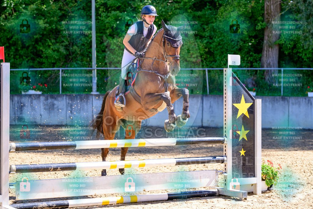 29082026-Giesenbach-Prfg10-0650 | Fokus Hufschlag Fotografie - Realisiert mit Pictrs.com