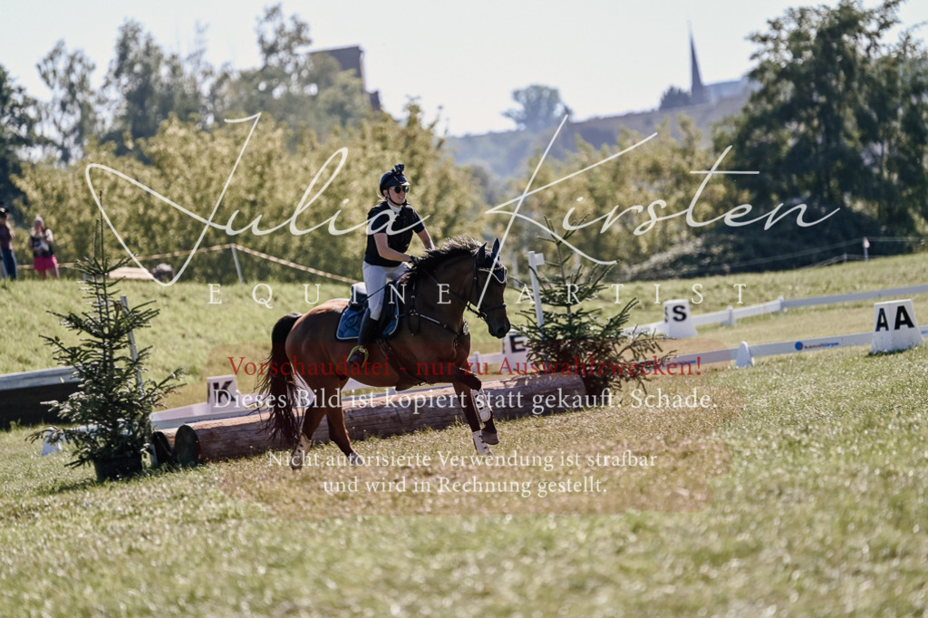 DSC_3358 | Pferde- und Turnierfotografie in Westsachsen. Pferdeportraits, Auftragszeichnungen und intuitive Kunst.