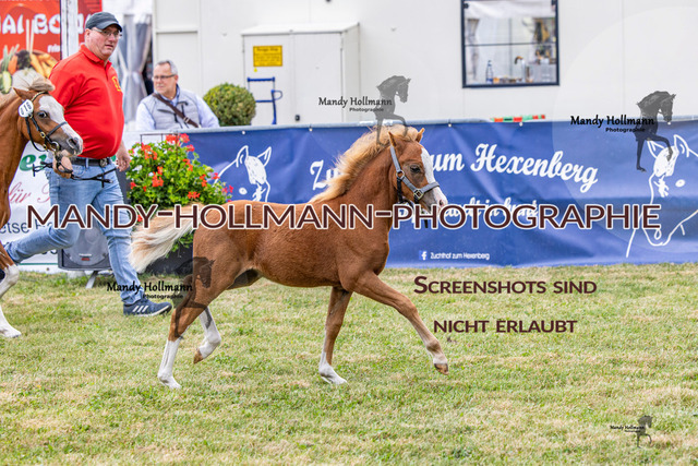 LTN 1 (640 von 918) | mandyhollmannphotographie