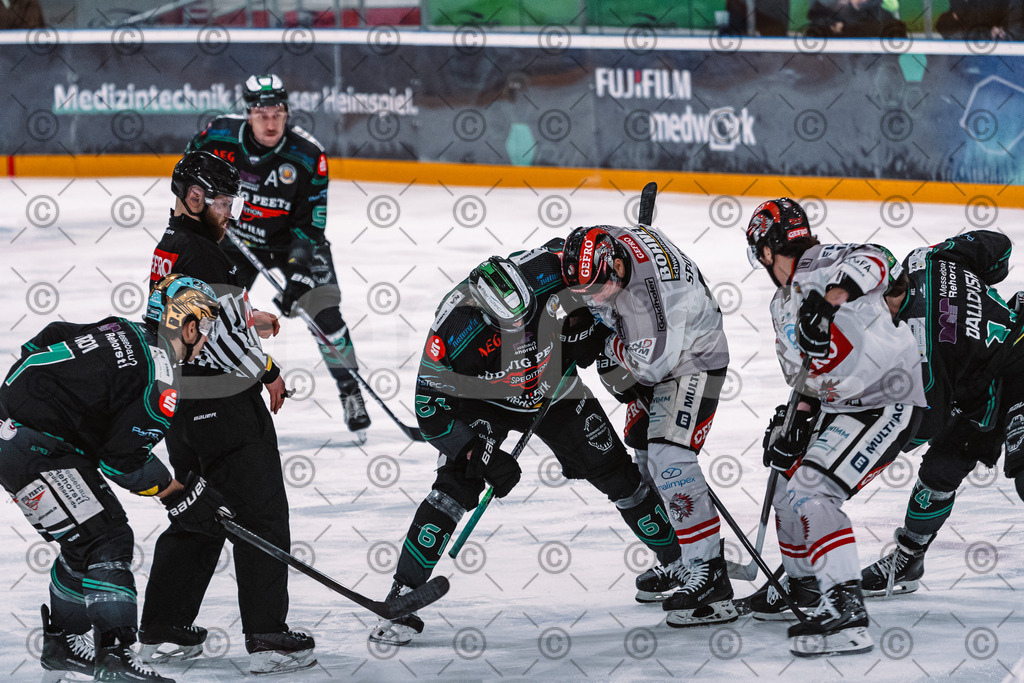 Alligators_vs_Memmingen_05_12_2025-083 | Höchstadt Alligators Fotogalerie: Eishockey-Action aus Franken. Professionelle Spielfotos, Portraits & Stadionbilder zum Download. Jetzt entdecken! - Realisiert mit Pictrs.com