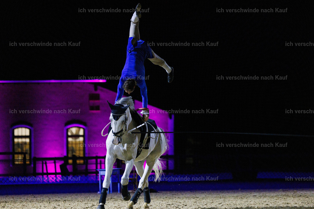 FHClassics-234 | working equitationturnier fotograf videograf stoibphotography marixx film working equitation deutschland reitsport turnierfotografie eventfotografie equestrian events