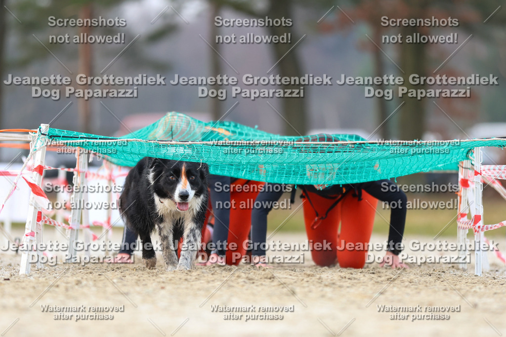Dog Paparazzi - Strongdog North Mrz26-4026 | Dog Paparazzi Jeanette Grottendiek Fotografie & Videografie - Realisiert mit Pictrs.com