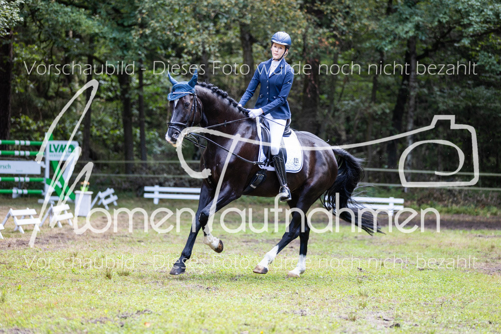 HB-Dressur-WB-094 | MomenTaufnahmen Pferdesportfotos