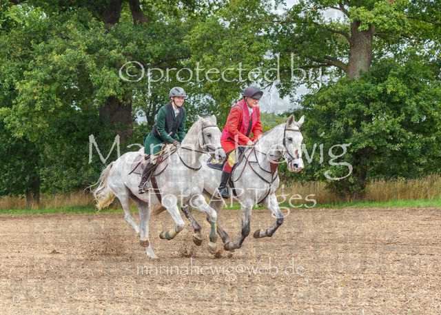 Jagd Perdoel_MarinaHewigMCH04366 | Fotografie, FotoArt, PferdesportArt, Pferdesportfotografie, Landschaftsfotografie, Reisefotografie, Reise, Pferde - Realisiert mit Pictrs.com