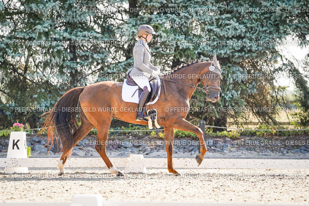 DSC09879 | Pferdegrafie