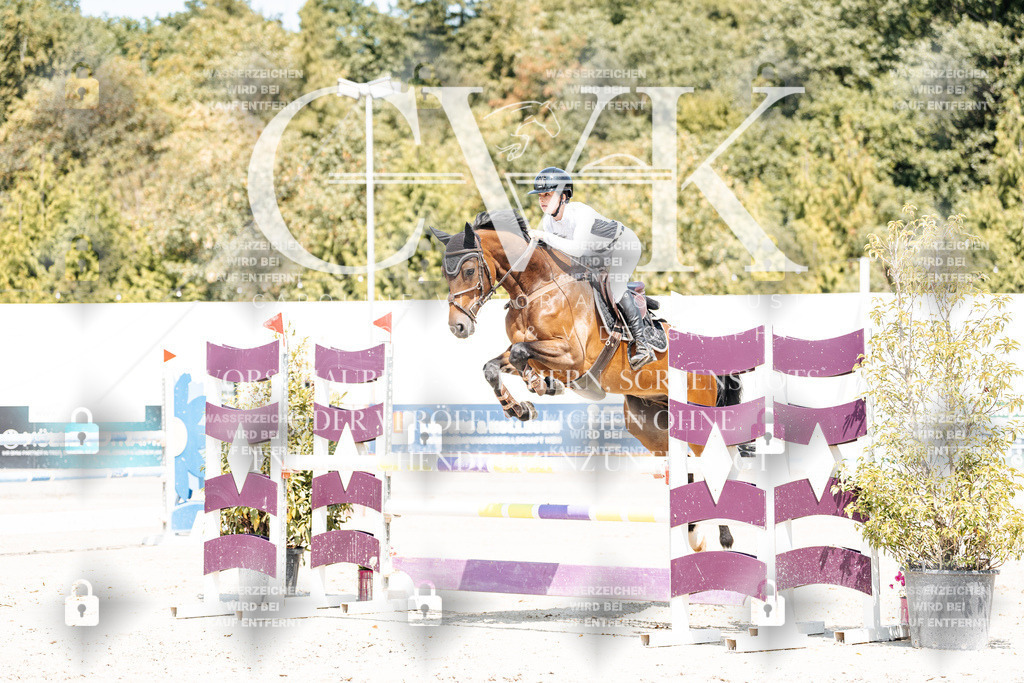 CK900998 | Turnierfotografie Pferdefotografie Trier Rheinland-Pfalz Pferdesport Reitsport Tierfotografie Sportfotografie Pferdevideo Pferdevideografie Equestrianvideography equestrianphotography  - Realisiert mit Pictrs.com