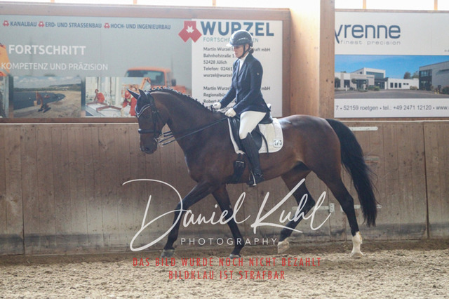 DKP44449 | Turniersportfotografie; Pferdefotografie; Dressurfotografie