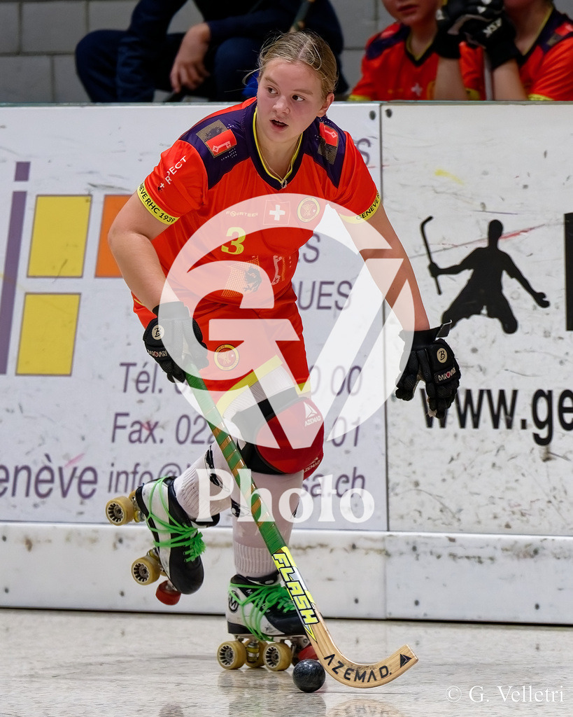 DZ8_3507 | Velletri Photo