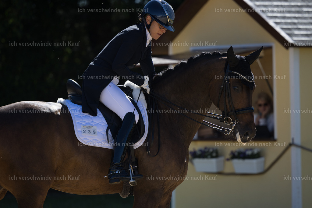 FHC2026_P07_239_17741 | working equitationturnier fotograf videograf stoibphotography marixx film working equitation deutschland reitsport turnierfotografie eventfotografie equestrian events