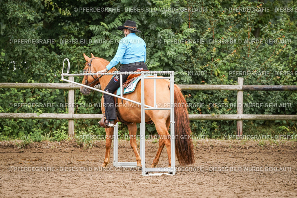 DSC03379 | Pferdegrafie