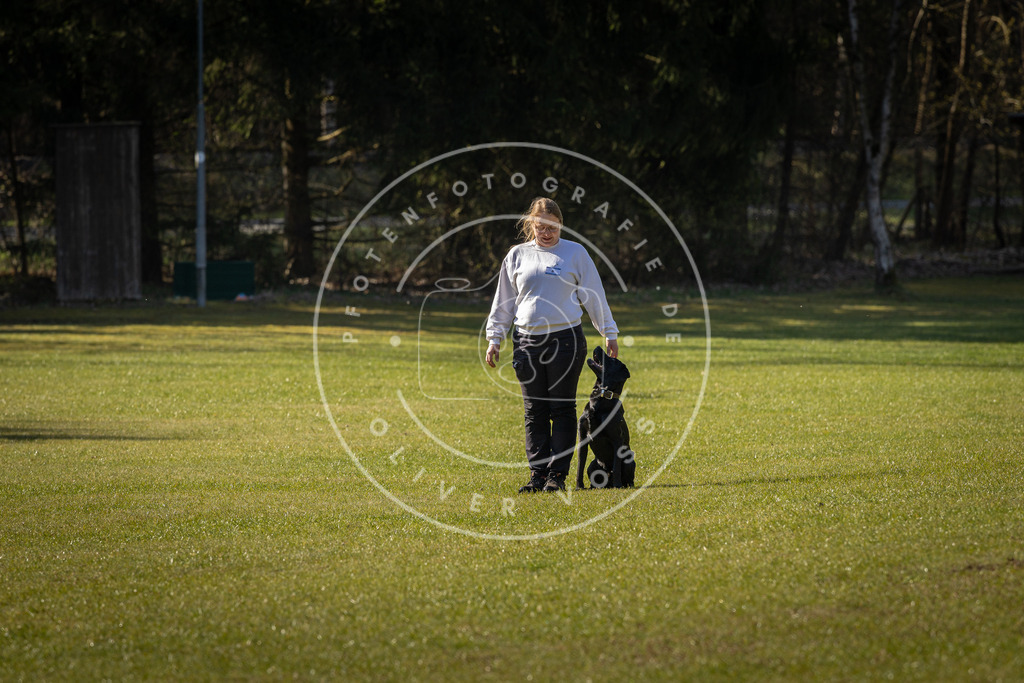 Pfotenfotografie_DV3A0240 | Hundefotografie, Tierfotograf, Pfotenfotografie, Fotoshooting Hund, Hunde Portrait, Hundesport, Hundeportraits, Heideshooting, Hunde, Sportfotograf, Hundefotograf, Turnierhundsport, THS,  - Realisiert mit Pictrs.com