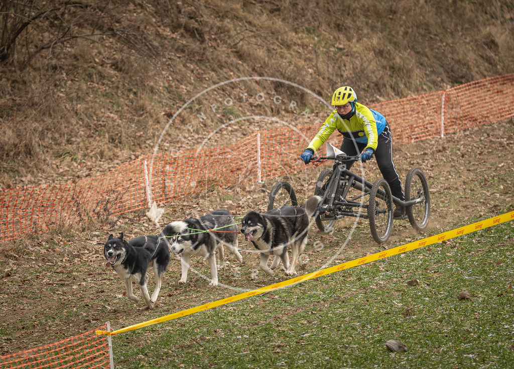Pfotenfotografie_DV3A8523 | Hundefotografie, Tierfotograf, Pfotenfotografie, Fotoshooting Hund, Hunde Portrait, Hundesport, Hundeportraits, Heideshooting, Hunde, Sportfotograf, Hundefotograf, Turnierhundsport, THS,  - Realisiert mit Pictrs.com