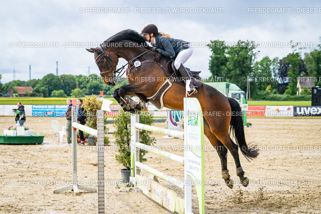 DSC04071 | Pferdegrafie