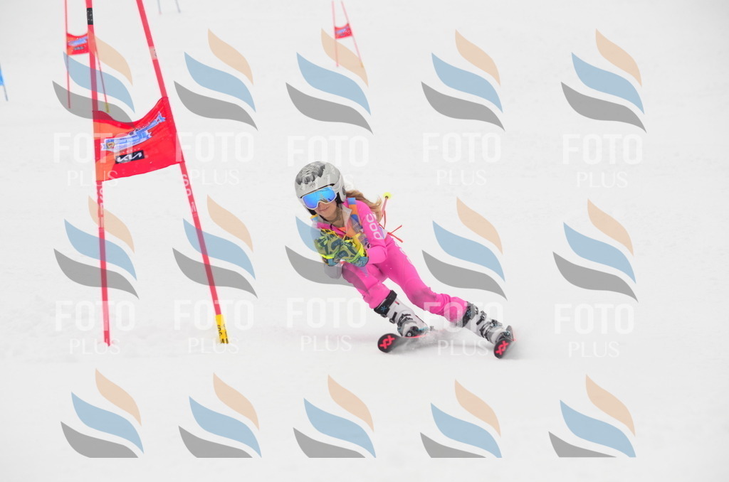 C1089 | holidayphoto