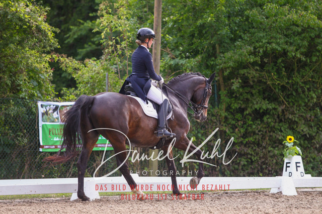 DKP41435 | Turniersportfotografie; Pferdefotografie; Dressurfotografie