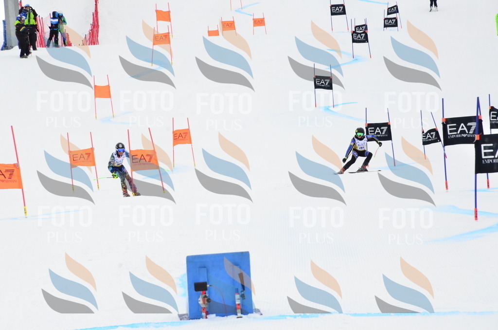 _ELE3865 | holidayphoto