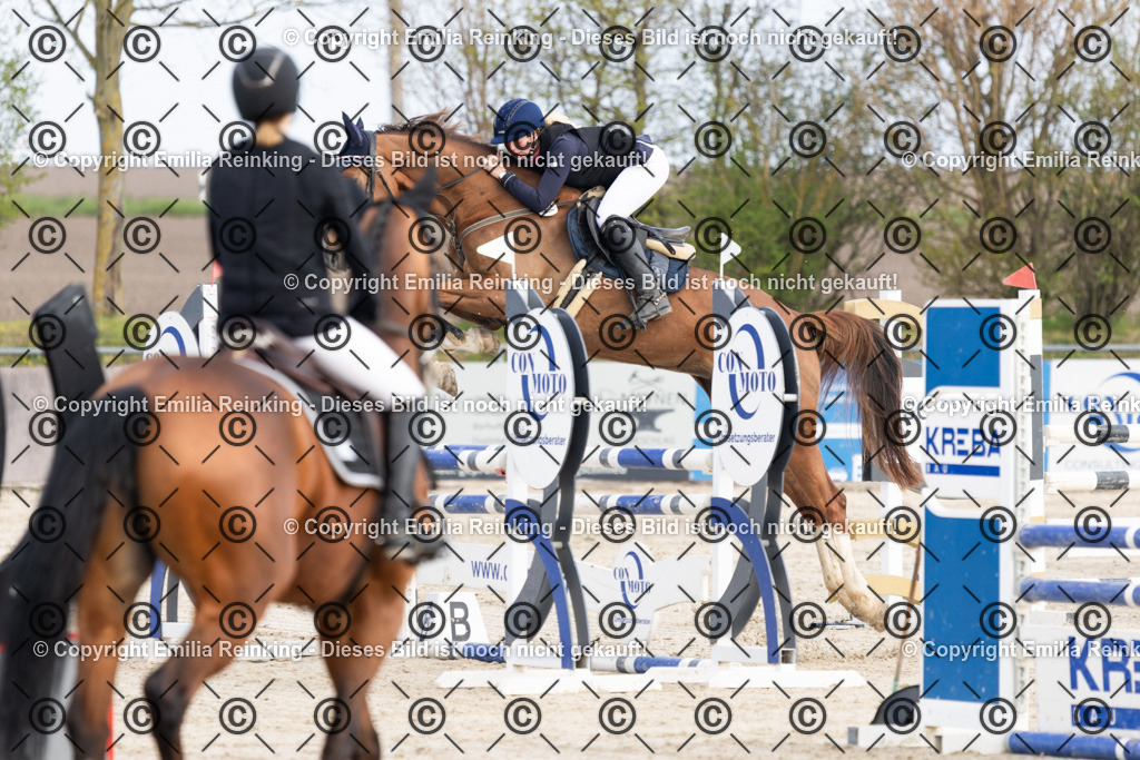 CL5A5126 | Emilia Reinking Fotografie - Realisiert mit Pictrs.com