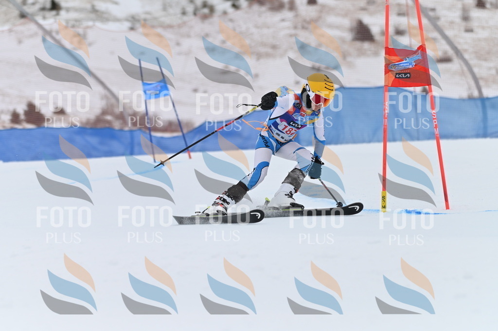 BGV_1284 | holidayphoto