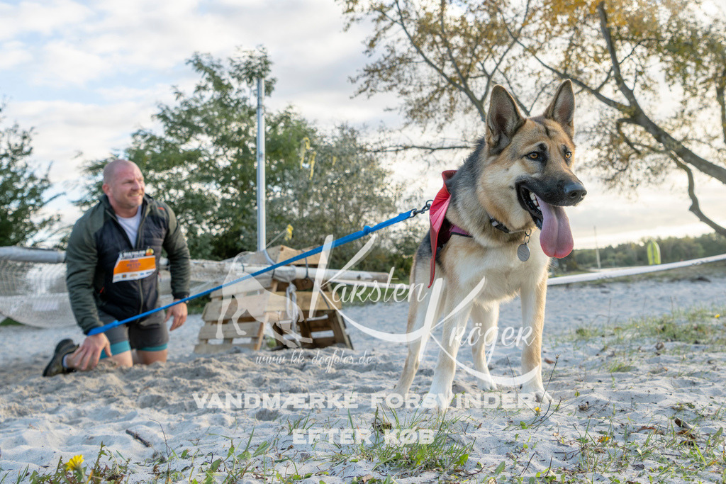 1641_ZZ98487 | kk-dogfotos