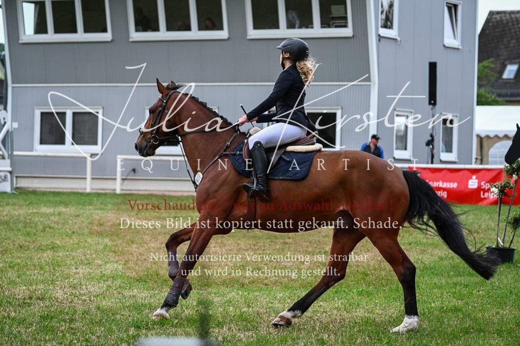 DSC_8489 | Pferde- und Turnierfotografie in Westsachsen. Pferdeportraits, Auftragszeichnungen und intuitive Kunst.