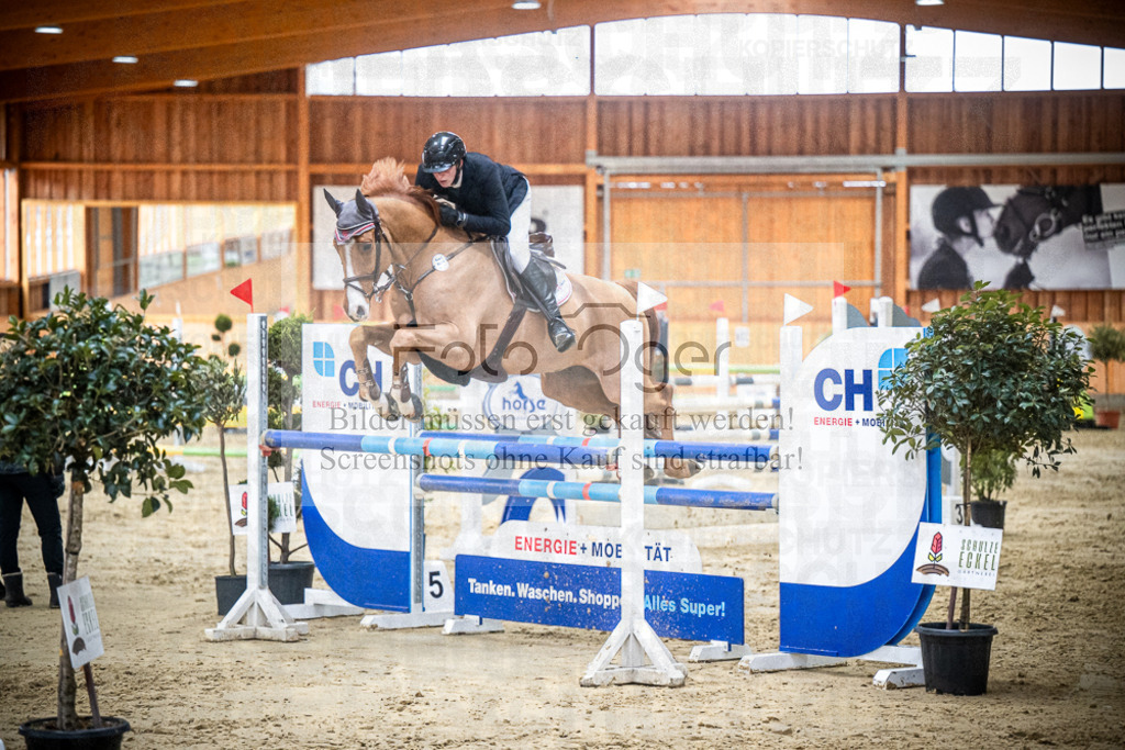 DOS_1400 | Entdecke hochwertige Reitturnierfotos von Foto Oger. Professionell, emotional und authentisch – jetzt Lieblingsmomente im Shop bestellen.Deutschlandweite Turnierfotografie. - Realisiert mit Pictrs.com