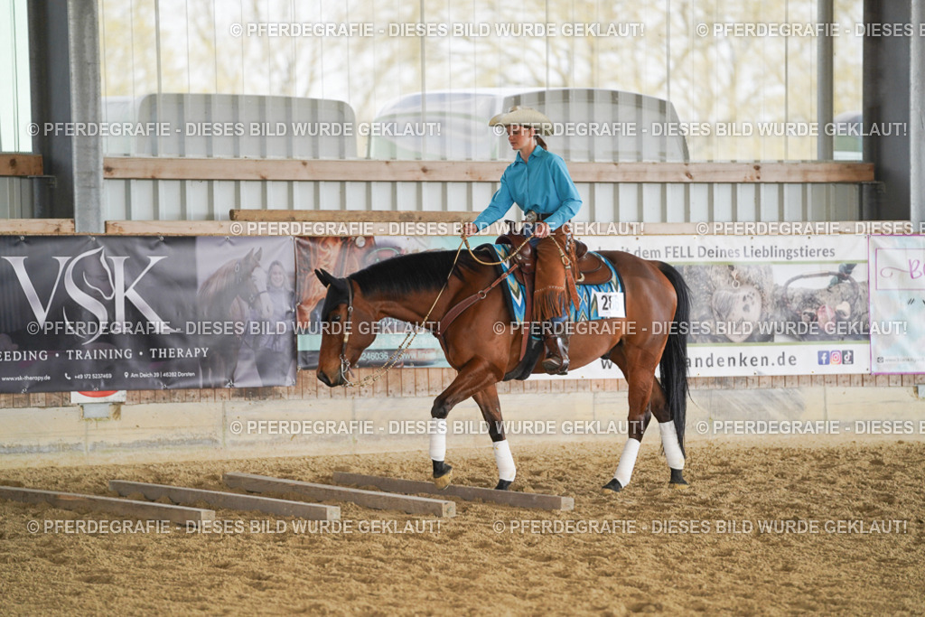 DSC00827 | Pferdegrafie