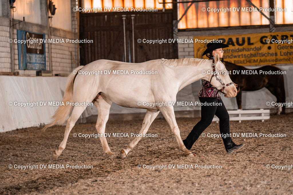 ZH100019 | dv-media-shop - Realisiert mit Pictrs.com