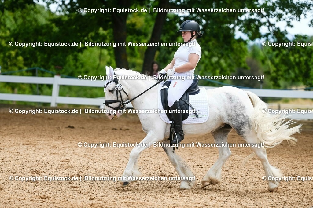 20230715_05_Dressurprüfung Kl.A++_0266 | equistock