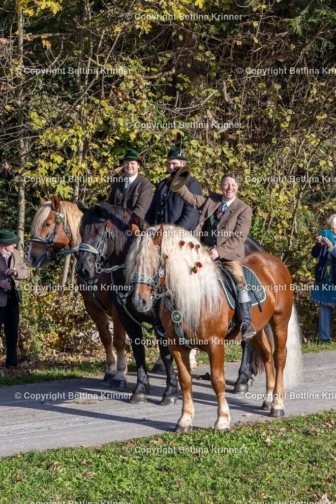 LBT24-253 | foto-bettina-krinner - Realisiert mit Pictrs.com