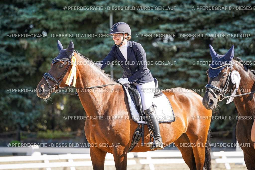 DSC00110 | Pferdegrafie