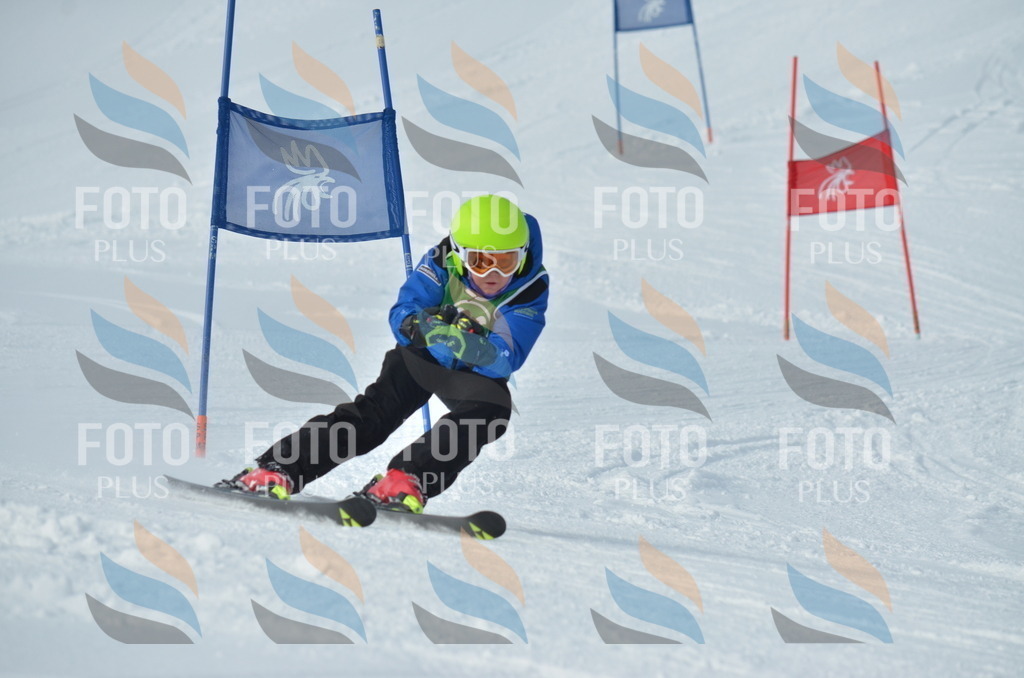 D8705 | holidayphoto