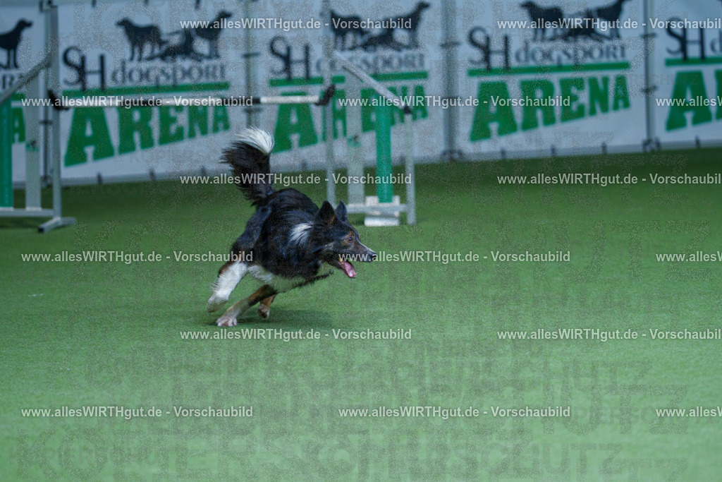 @allesWIRTHgut_Tierfotografie - www.allesWIRTHgut.de - 2604251232-7R502099 | Professionelle Tierfotografie in Mönchengladbach von Daniel Wirth (allesWIRTHgut). Liebevolle & natürliche Bilder von Hunden & Katzen für unvergessliche Erinnerungen.